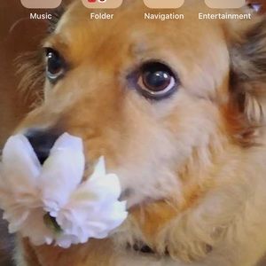 Meet your Posher, Christa